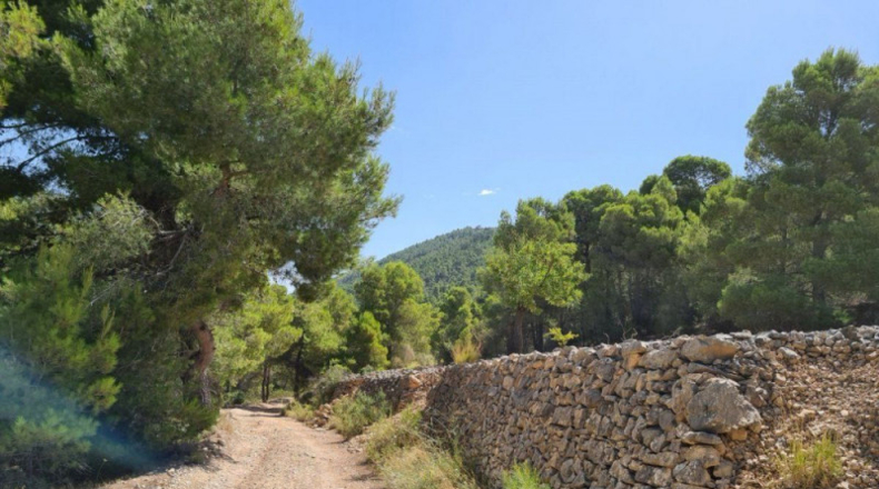Alicante - Hondón de los Frailes - 25000m2