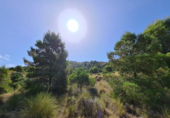 Terreny no urbanitzable en venda a la España, el Fondó dels Frares, ref.: TR116412 foto