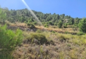 Terreny no urbanitzable en venda a la España, el Fondó dels Frares, ref.: TR116412 foto