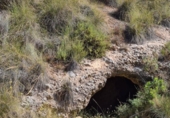 Terreny no urbanitzable en venda a la España, el Fondó dels Frares, ref.: TR116412 foto