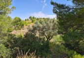 Terreny no urbanitzable en venda a la España, el Fondó dels Frares, ref.: TR116412 foto