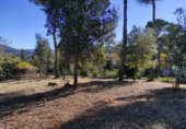 Parcel·la urbanitzable en venda a la España, Sant Llorenç Savall, ref.: TR116659 foto