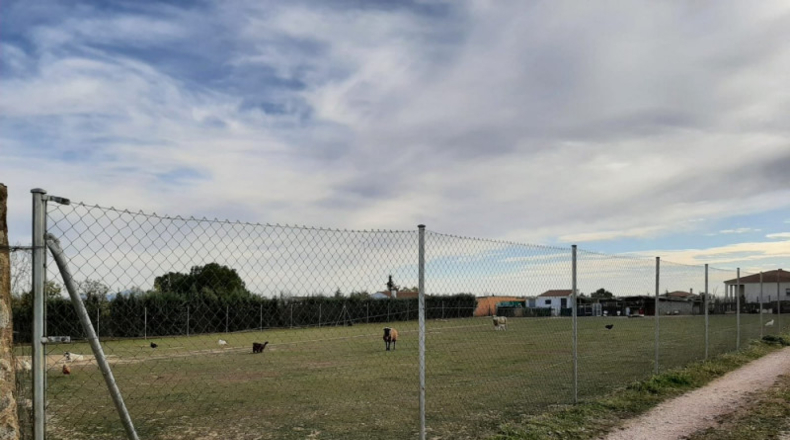 Cáceres - Sierra de Fuentes - 2800m2
