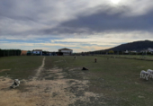 House with land for sale on España, Sierra de Fuentes, ref: TR294734 photo