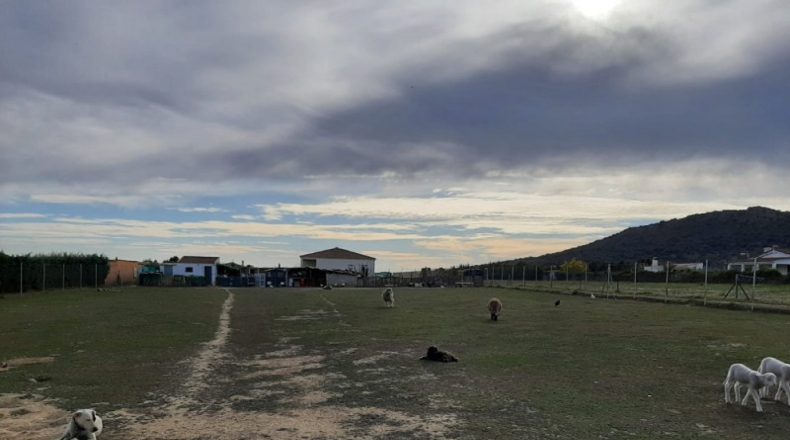 Cáceres - Sierra de Fuentes - 2800m2
