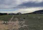 House with land for sale on España, Sierra de Fuentes, ref: TR294734 photo