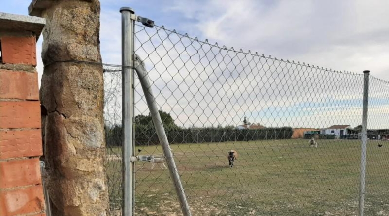 Cáceres - Sierra de Fuentes - 2800m2