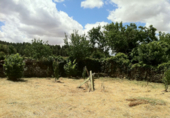 Suelo urbano en venta en la España, Aguilar de Campoo, ref: TR117496 foto