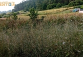Non-developable land for sale on España, Vigo, ref: TR135351 photo