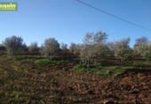 Terreny no urbanitzable en venda a la España, Alcolea, ref.: TR115503 foto