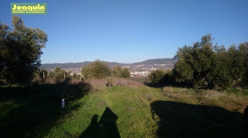 Córdoba - Córdoba - 3584m2
