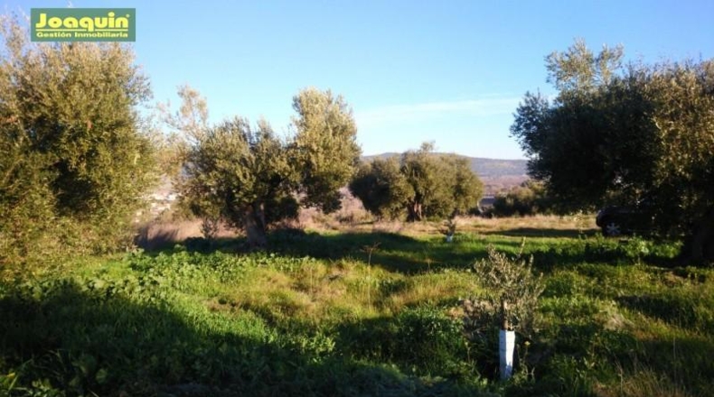 Córdoba - Córdoba - 3584m2