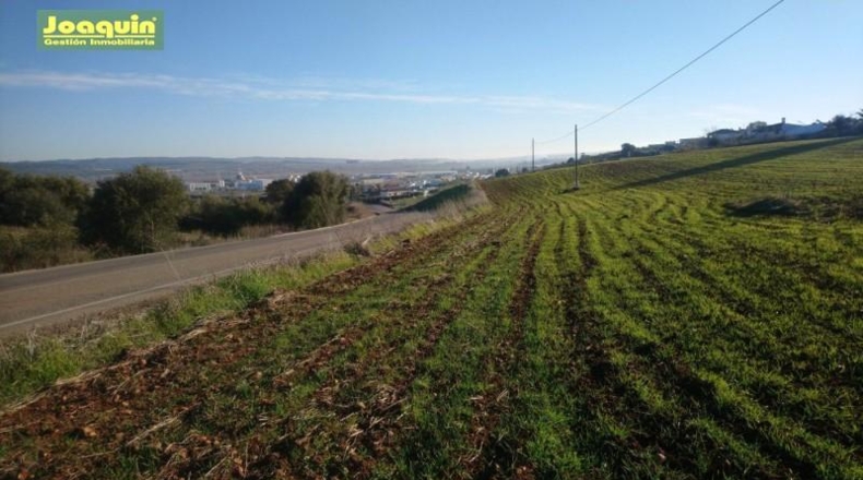 Córdoba - Córdoba - 3584m2