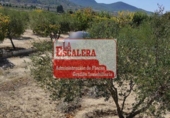 Terreny no urbanitzable en venda a la España, Onil, ref.: TR115733 foto