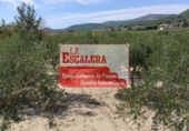 Terreny no urbanitzable en venda a la España, Onil, ref.: TR115733 foto