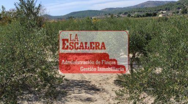 Alicante - Onil - 4879m2