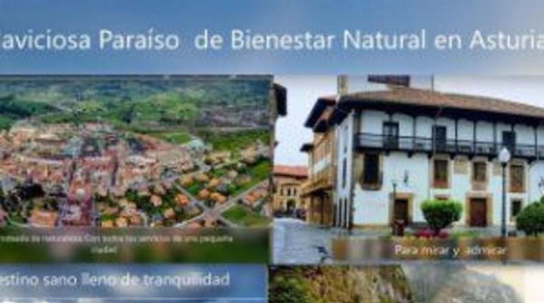 Asturias - Villaviciosa - 1750m2
