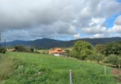 Parcel·la urbanitzable en venda a la España, Villaviciosa, ref.: TR121062 foto