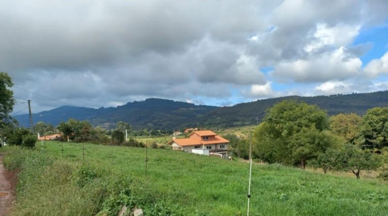 Asturias - Villaviciosa - 1750m2