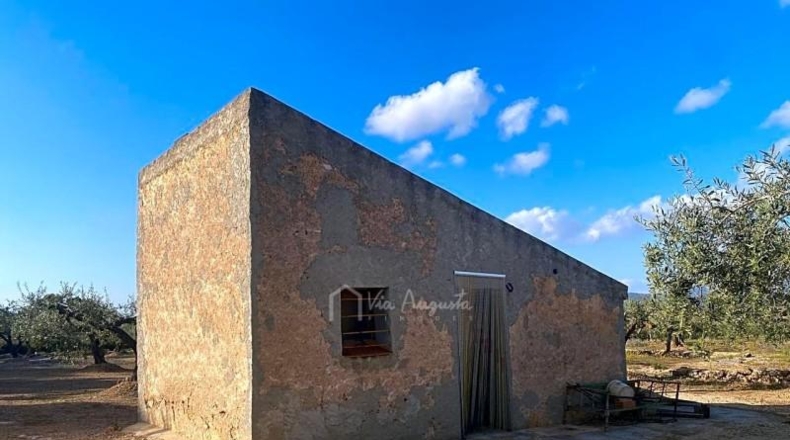 Tarragona - el Perelló - 11229m2