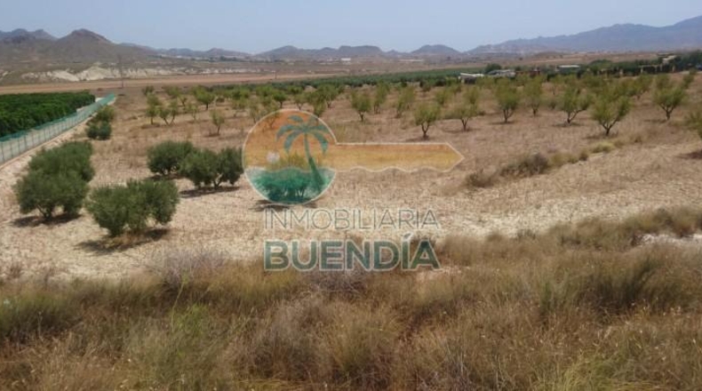 Múrcia - Mazarrón - 20000m2