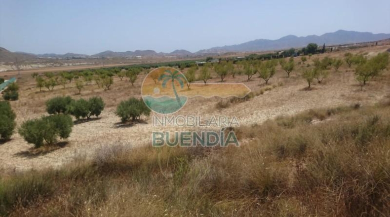 Múrcia - Mazarrón - 20000m2