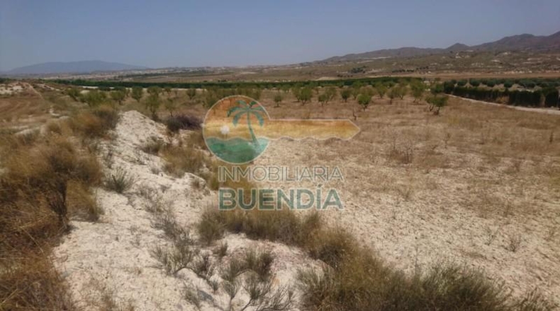 Múrcia - Mazarrón - 20000m2