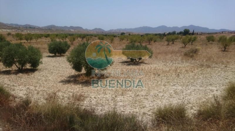 Múrcia - Mazarrón - 20000m2