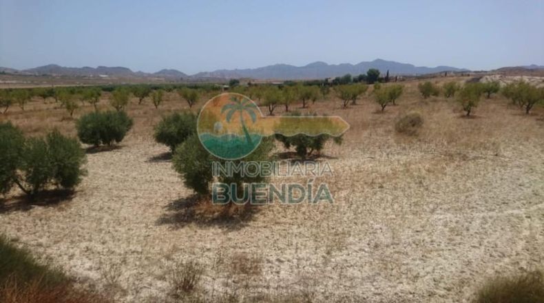 Múrcia - Mazarrón - 20000m2
