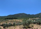 Non-developable land for sale on España, Los Llanos, ref: TR121886 photo