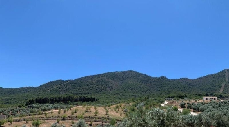 Granada - Los Llanos - 7227m2