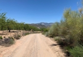 Non-developable land for sale on España, Los Llanos, ref: TR121886 photo