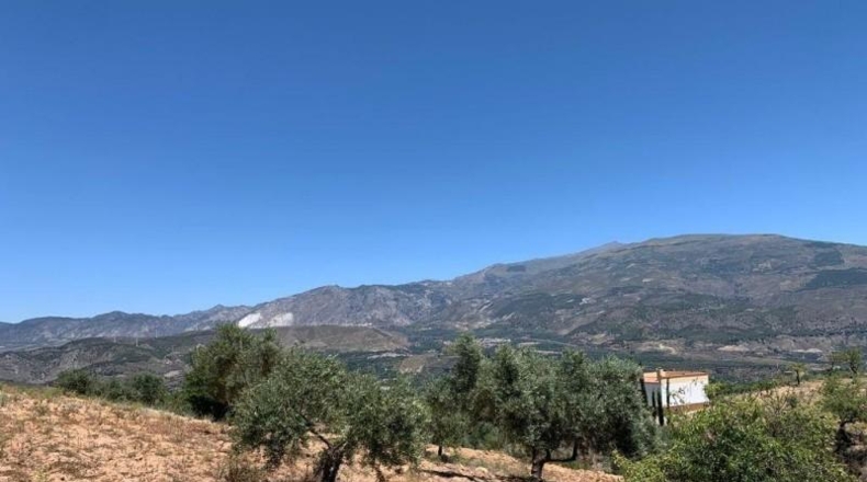 Granada - Los Llanos - 7227m2
