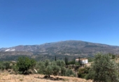 Non-developable land for sale on España, Los Llanos, ref: TR121886 photo