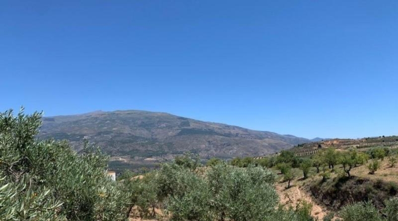 Granada - Los Llanos - 7227m2