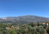 Non-developable land for sale on España, Los Llanos, ref: TR121886 photo