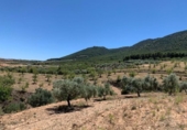 Non-developable land for sale on España, Los Llanos, ref: TR121886 photo