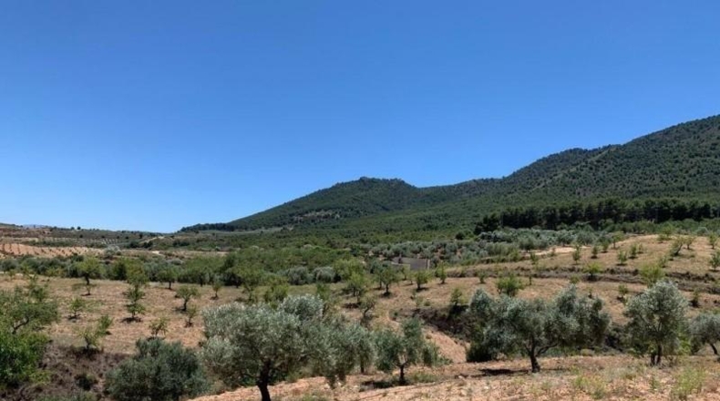 Granada - Los Llanos - 7227m2