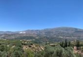 Non-developable land for sale on España, Los Llanos, ref: TR121886 photo