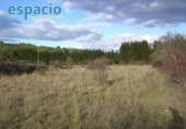 Отдельно стоящий дом с участком на продажу в городе Areces Фото