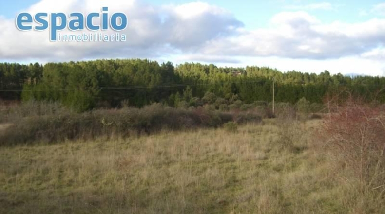 Las Palmas - Pájara - 6800m2