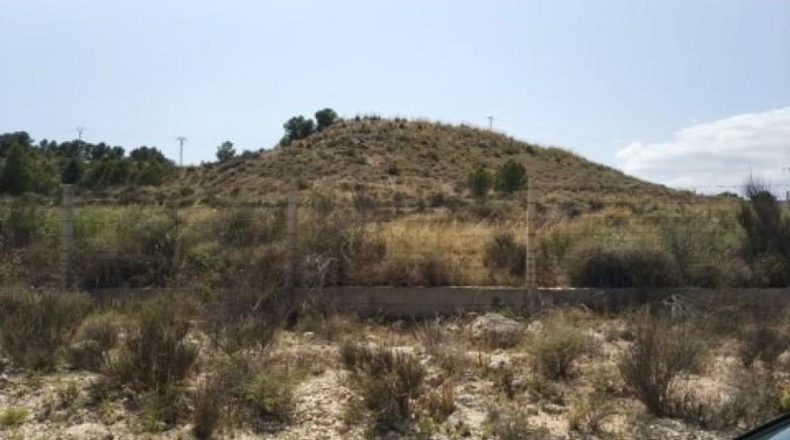 Alicante - Monóvar - 10000m2