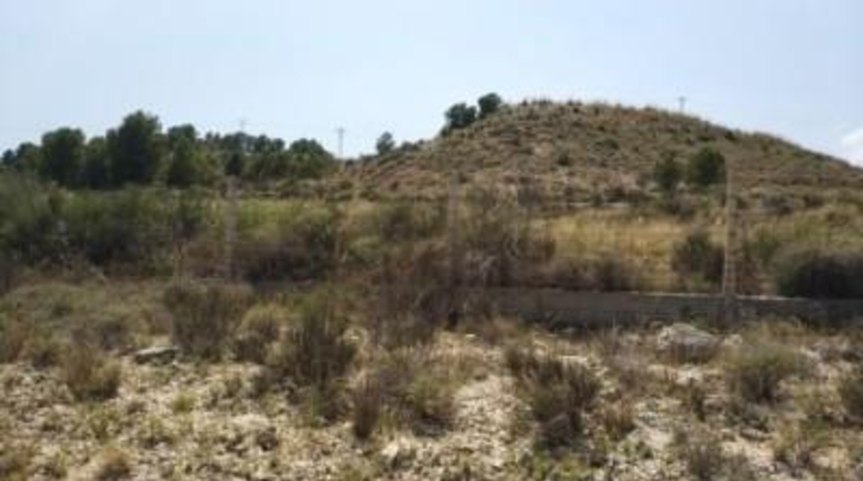 Alicante - Monóvar - 10000m2