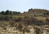 Land suitable for development for sale on España, Monóvar, ref: TR122125 photo