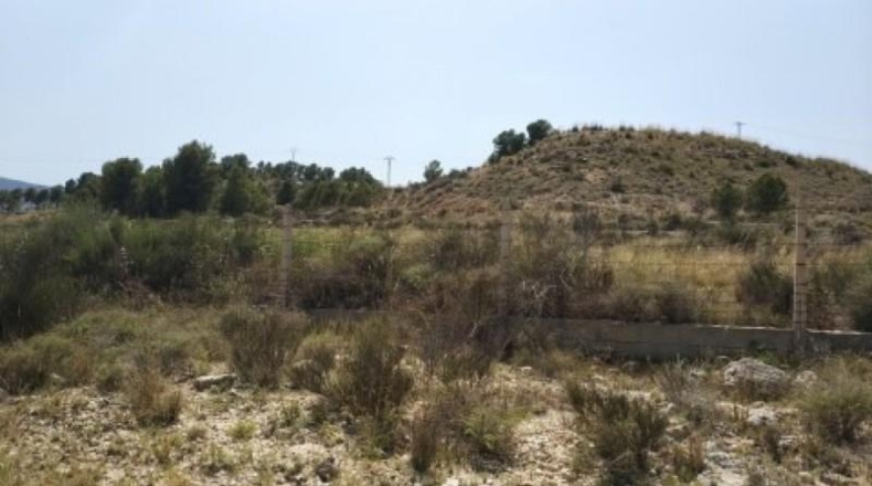 Alicante - Monóvar - 10000m2