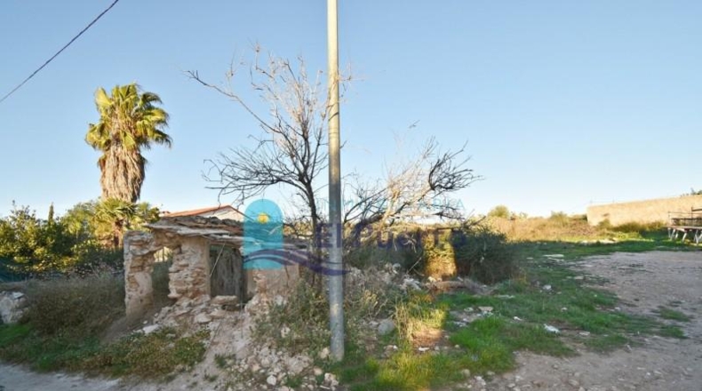 Murcia - Fuente Álamo de Murcia - 1111m2
