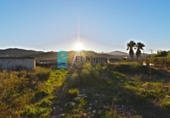 Casa de camp amb terreny en venda a la España, Fuente Álamo, ref.: TR146460 foto