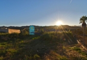 Casa de camp amb terreny en venda a la España, Fuente Álamo, ref.: TR146460 foto