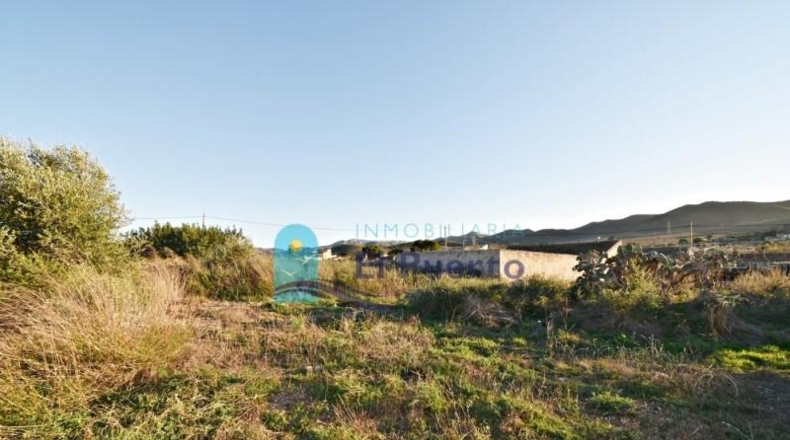 Murcia - Fuente Álamo de Murcia - 1111m2