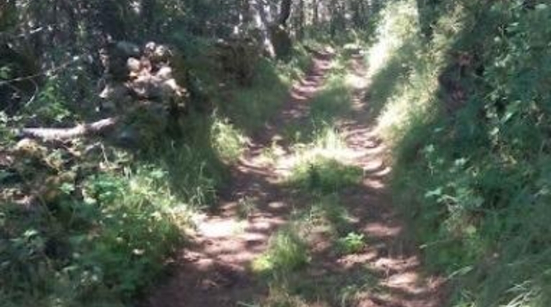 León - Riello - 146m2